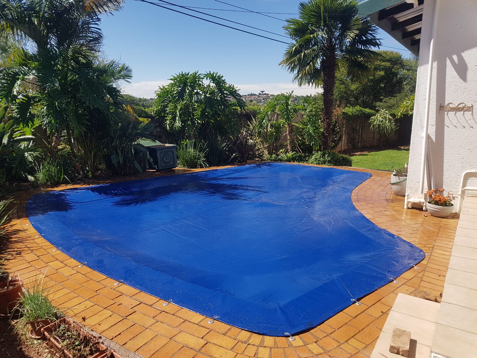 Pool Cover